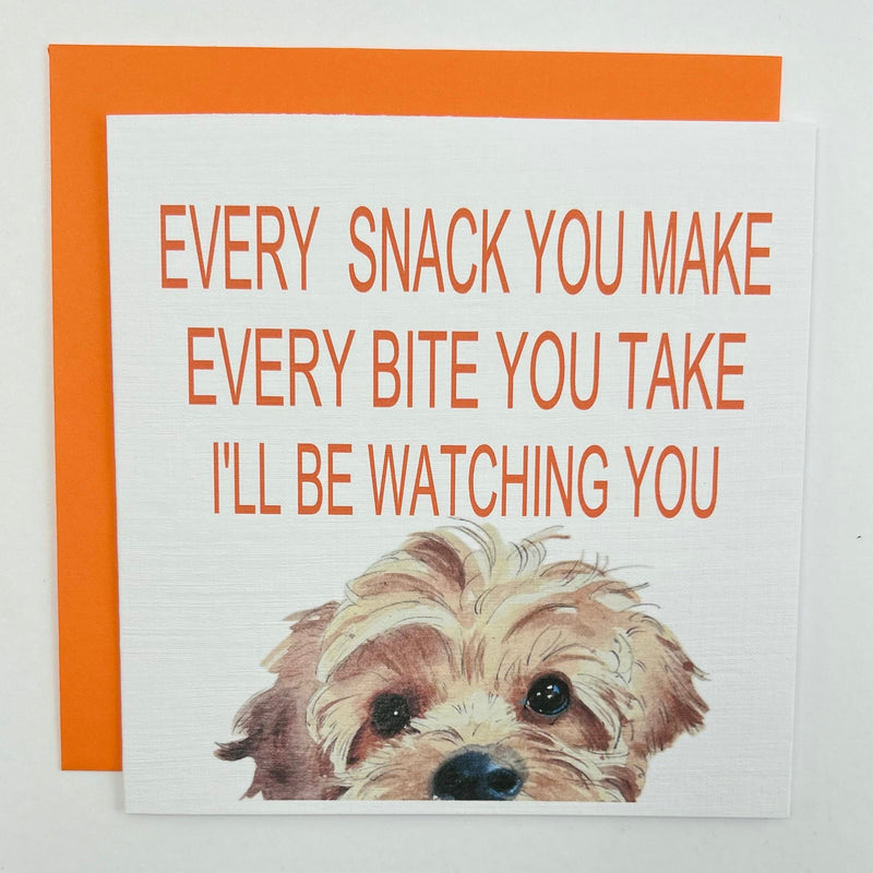 Animal /Animal Humour