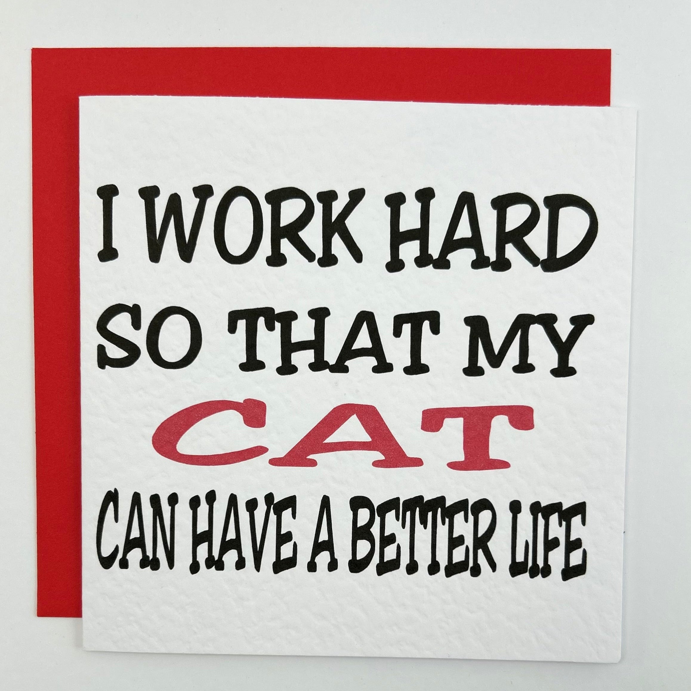 Work hard cat